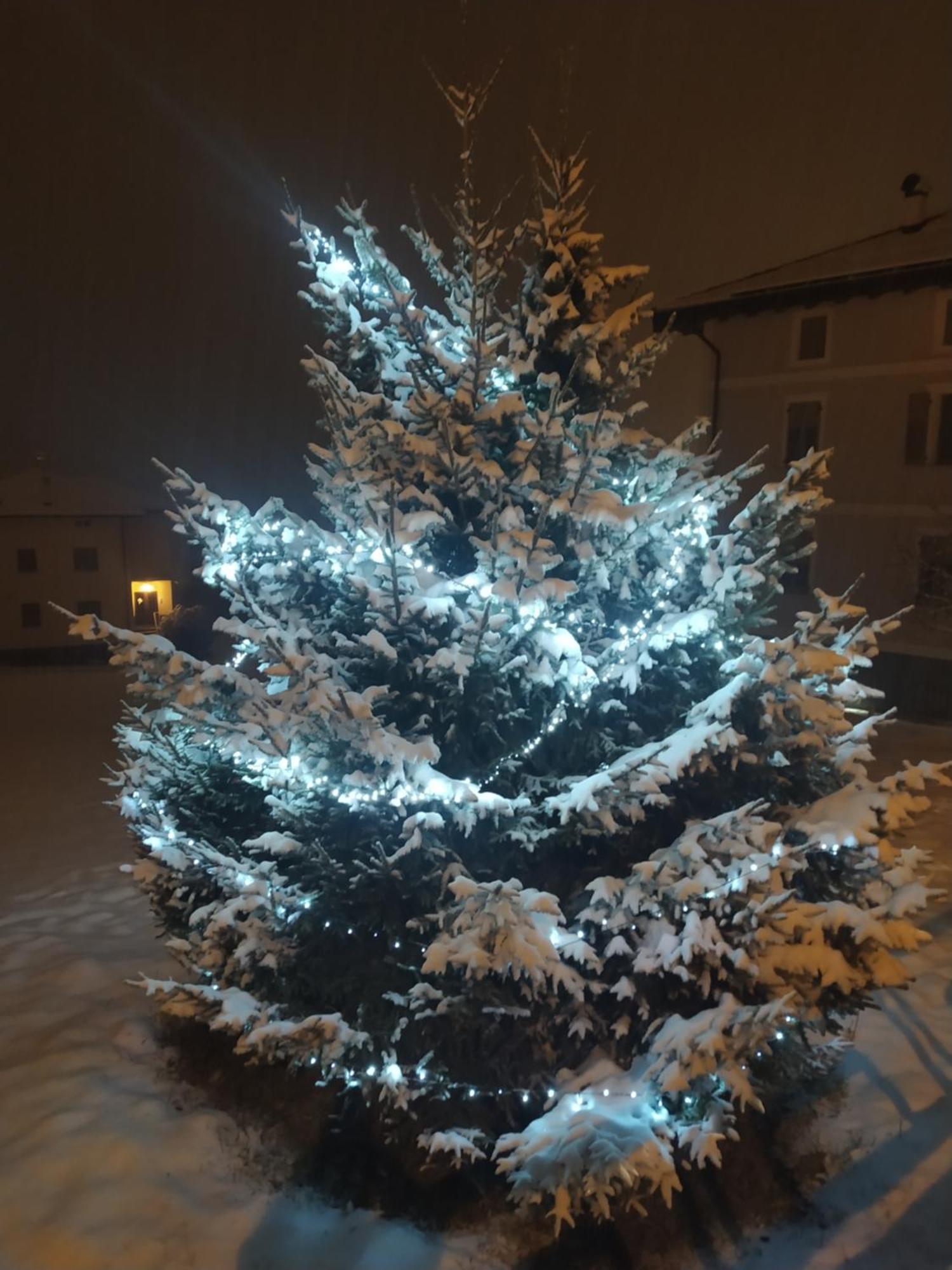 Apartament Casa Zucol Sarnonico Zewnętrze zdjęcie