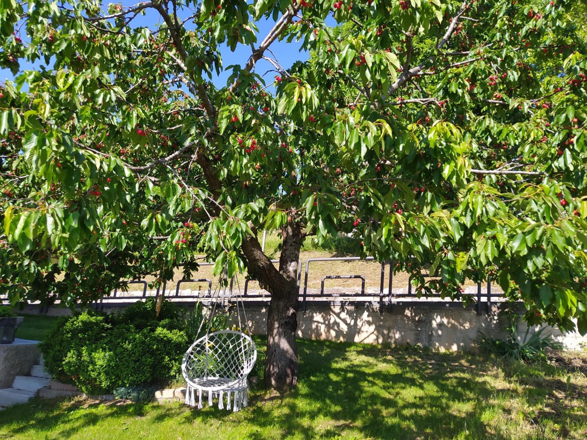 Apartament Casa Zucol Sarnonico Zewnętrze zdjęcie