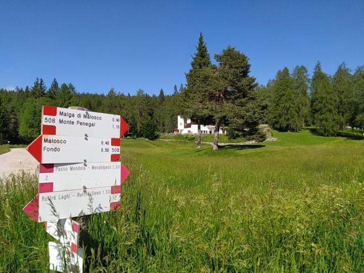 Apartament Casa Zucol Sarnonico Zewnętrze zdjęcie